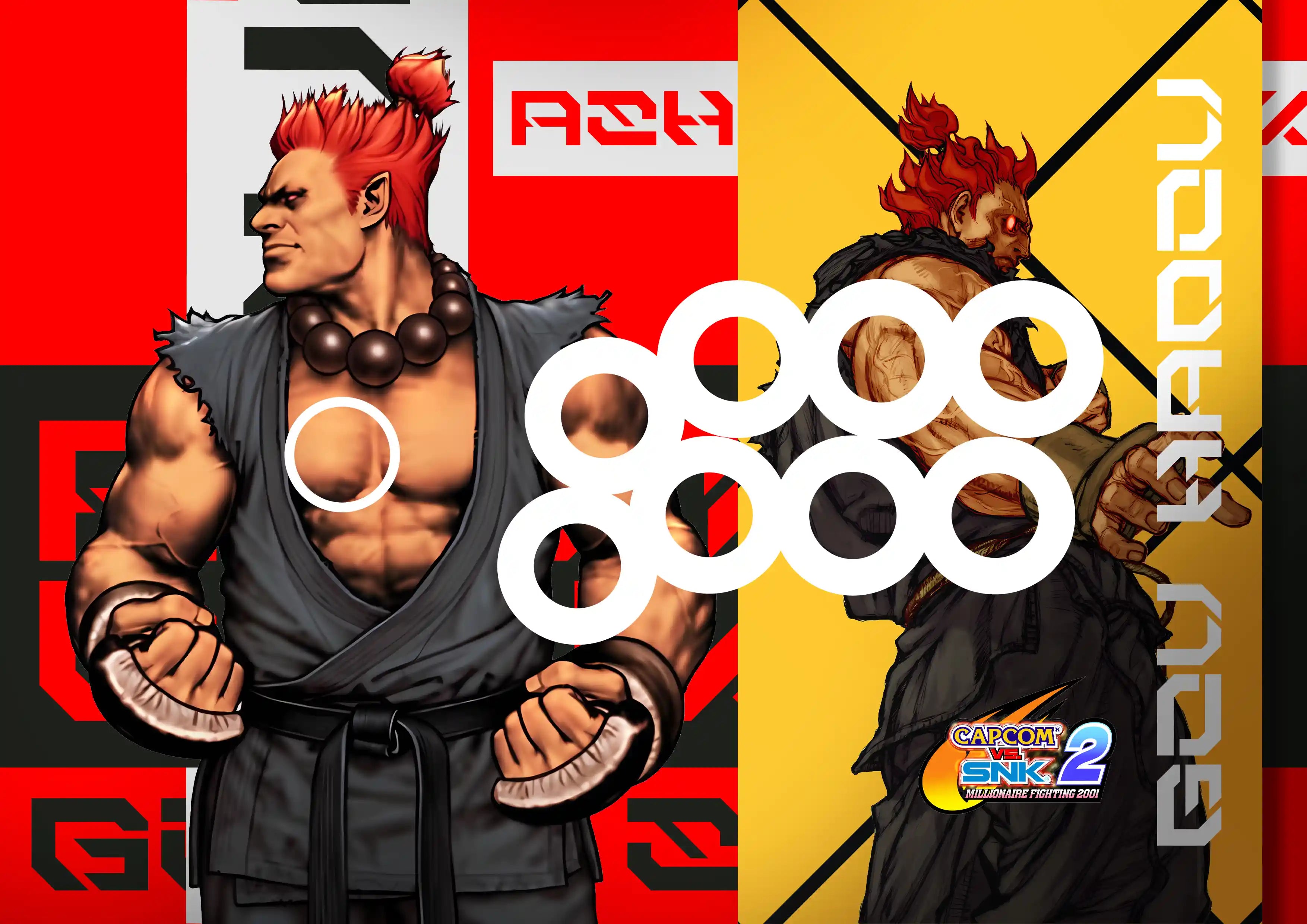 Akuma Capcom vs SNK 2