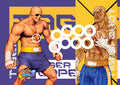 Sagat Capcom vs SNK 2