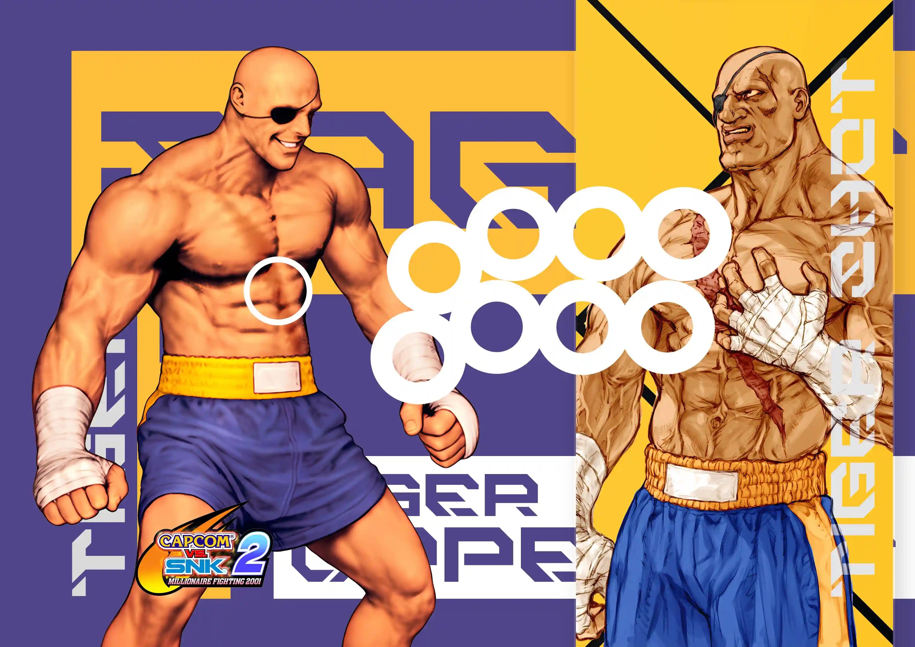 Sagat Capcom vs SNK 2